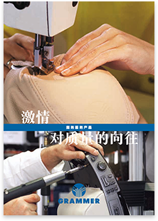 GRAMMAR AG · Chinesisch · Broschüre · Fremdsprachensatz